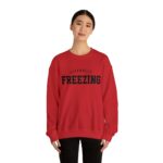 Literally Freezing Sweatshirt, Literally Freezing, Literally Freezing Shirt, Always Cold Sweatshirt, Winter Sweatshirt, Christmas Sweatshirt