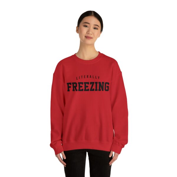 Literally Freezing Sweatshirt, Literally Freezing, Literally Freezing Shirt, Always Cold Sweatshirt, Winter Sweatshirt, Christmas Sweatshirt