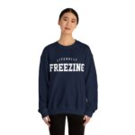 Literally Freezing Sweatshirt, Literally Freezing, Literally Freezing Shirt, Always Cold Sweatshirt, Winter Sweatshirt, Christmas Sweatshirt