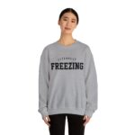 Literally Freezing Sweatshirt, Literally Freezing, Literally Freezing Shirt, Always Cold Sweatshirt, Winter Sweatshirt, Christmas Sweatshirt